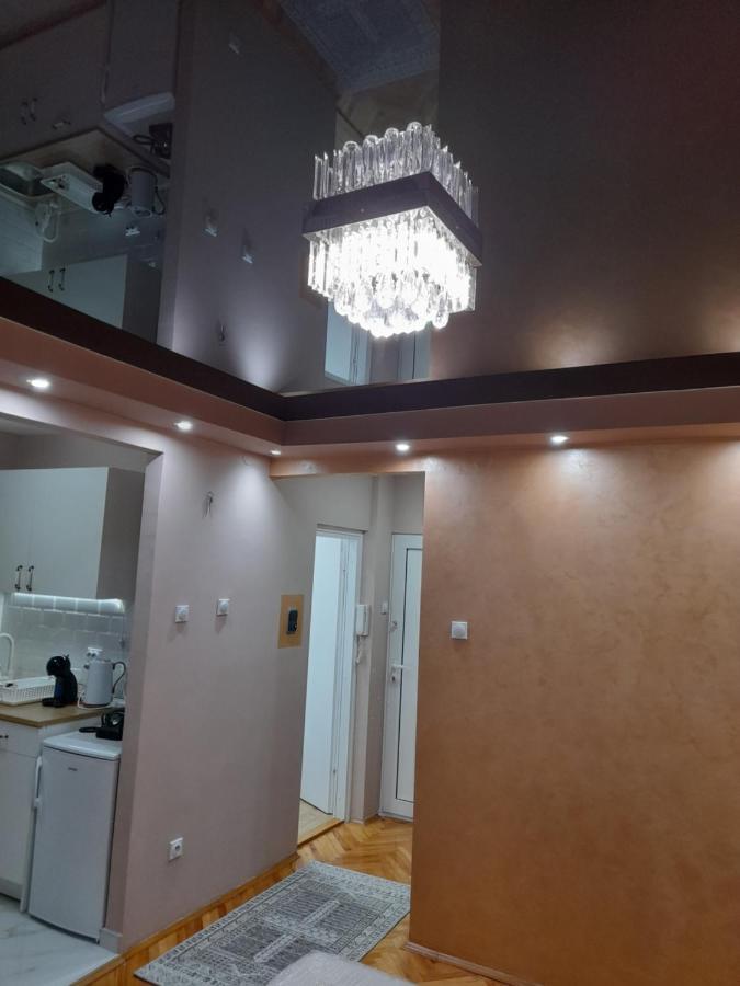 Iva Lux Apartman ザイェチャル エクステリア 写真