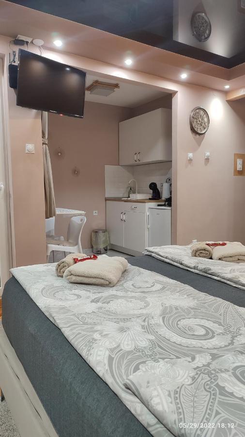Iva Lux Apartman ザイェチャル エクステリア 写真